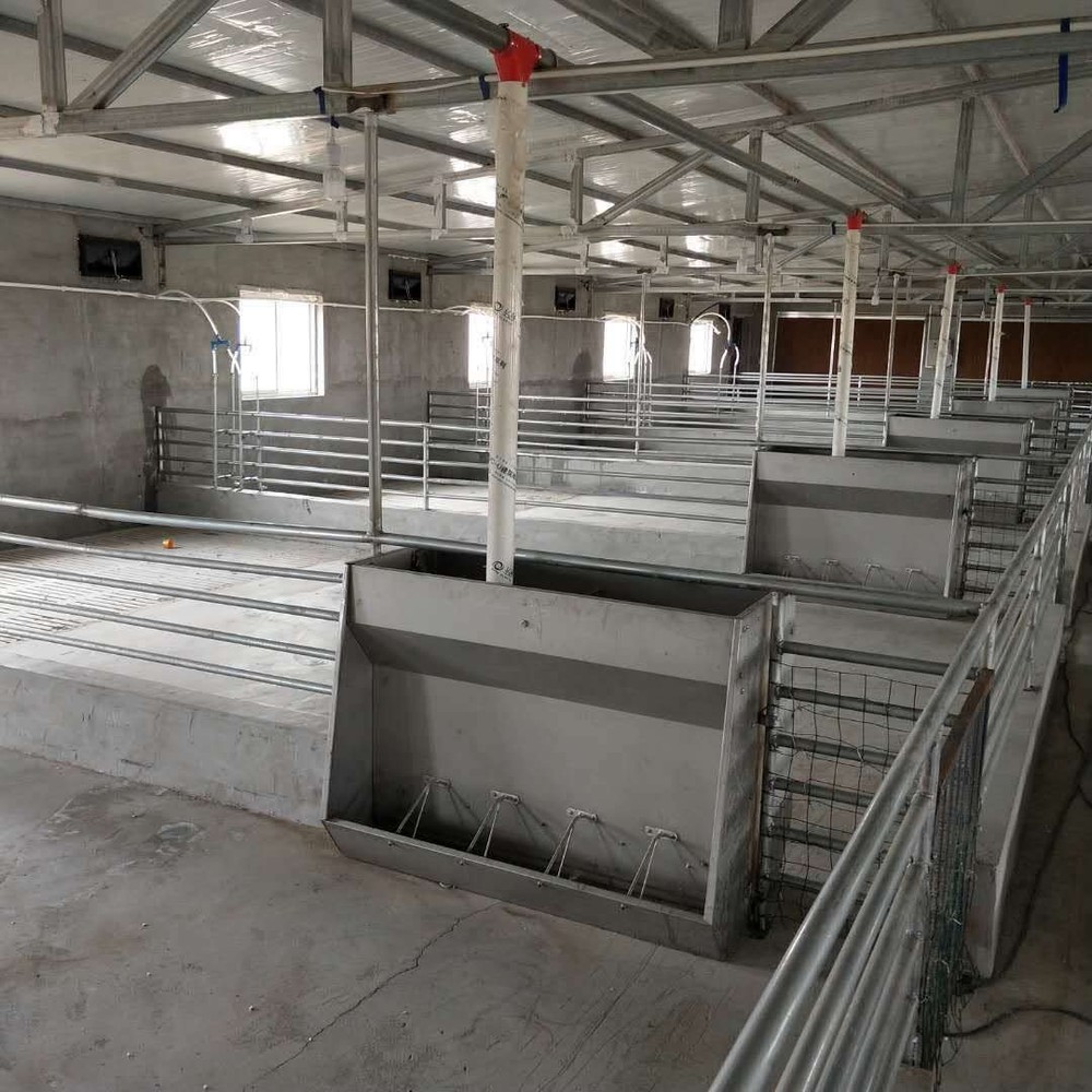 Stainless Steel Double Sided Pig Feeder Stainless Steel Double Sided Pig Feeder