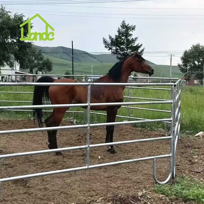 Round Pen Panels For Horses factory