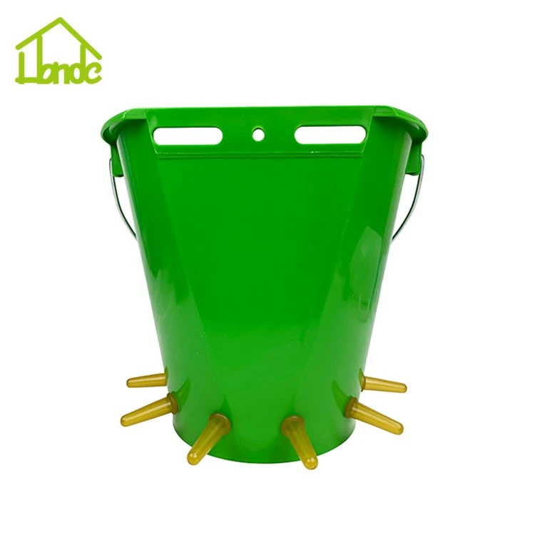 Sheep Using Plastic Milk Buckets Factory