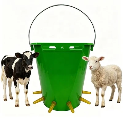 Sheep Using Plastic Milk Buckets