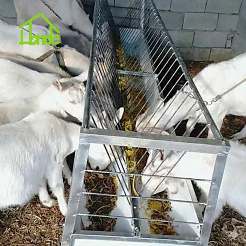 The Double-sided Sheep Feeding Trough best