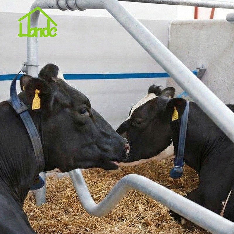 Wave-Shaped Design Cattle Stall Divider factory