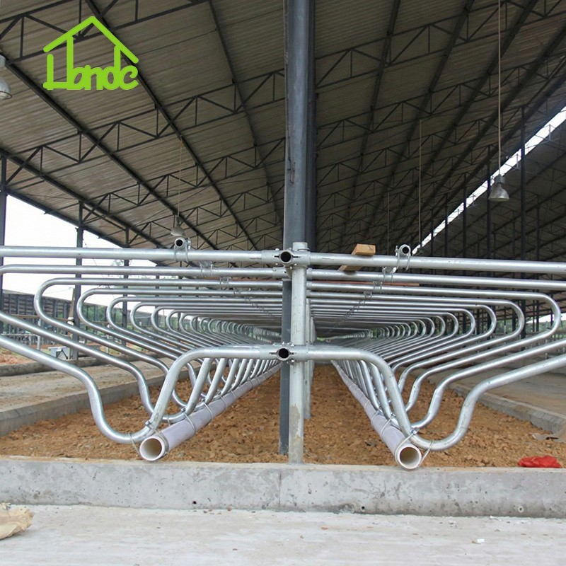 Wave-Shaped Design Cattle Stall Divider suppliers