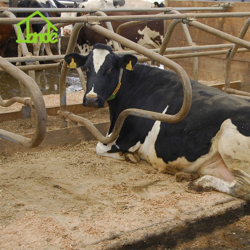 Wave-Shaped Design Cattle Stall Divider best